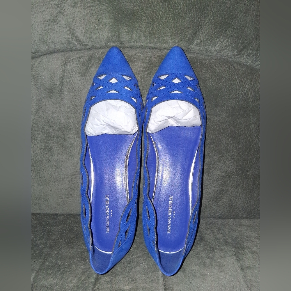 Banana Republic Royal Blue Suede Pointed-Toe Flats